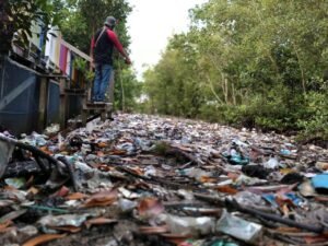 Sampah Menumpuk Jadi Pemandangan Pengunjung Saat Ke Taman Mangrove Bontang