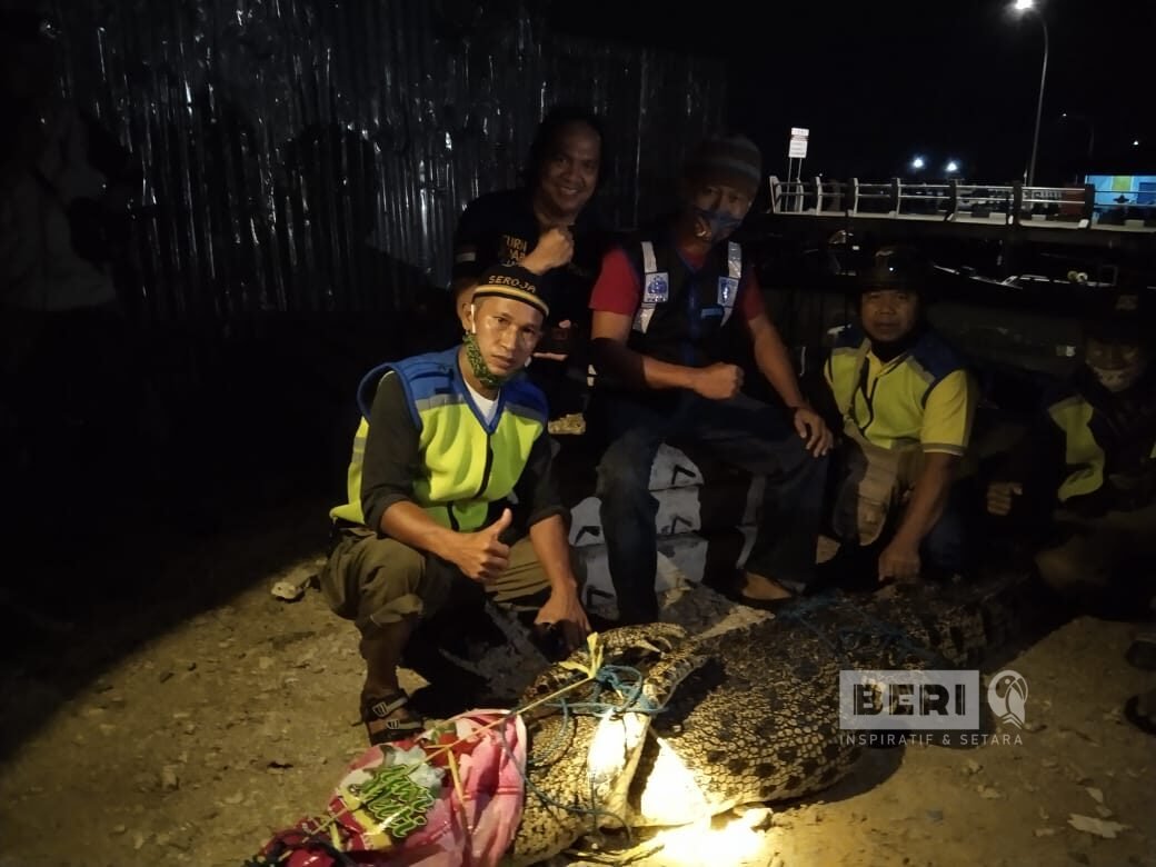 Proses pengevakuasian buaya di laut selambai, oleh BKSDA Kaltim, bersama dengan Bhabinkamtibmas dan FKPM Lok Tuan (doc. Istimewa)