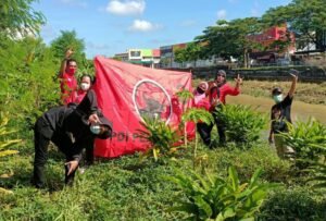 PDI Perjuangan Balikpapan Ikut Melakukan Penanaman Pohon Serentak