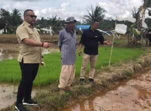 Tinjau Kegiatan Petani Disela Agenda Kedewanan, Bentuk Komitmen Reza Fahlevi Tingkatkan Mutu Dan Kesejahteraan Petani