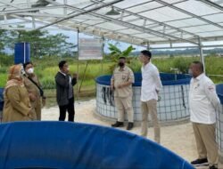 Budidaya Ikan Sistem Bioflok Diharapkan Menjadi Solusi Pemenuhan Pangan