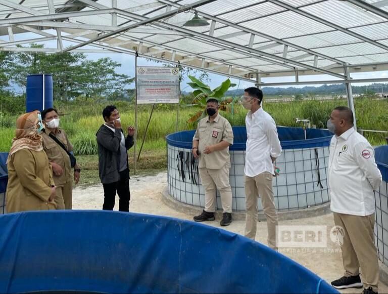 Wakil Ketua Komisi IV DPR RI Budisatrio Djiwandono dari Fraksi Partai Gerindra menyambangi Kelompok Pembudidaya-Ikan Kecil (Pokdakan) Jaya Sumber Rejeki yang terletak di Palaran.