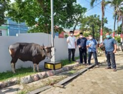 Saling Berbagi di Hari Raya Idul Adha, Rutan Kelas II Samarinda Kurban 14 Ekor Sapi
