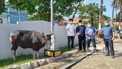 Saling Berbagi di Hari Raya Idul Adha, Rutan Kelas II Samarinda Kurban 14 Ekor Sapi