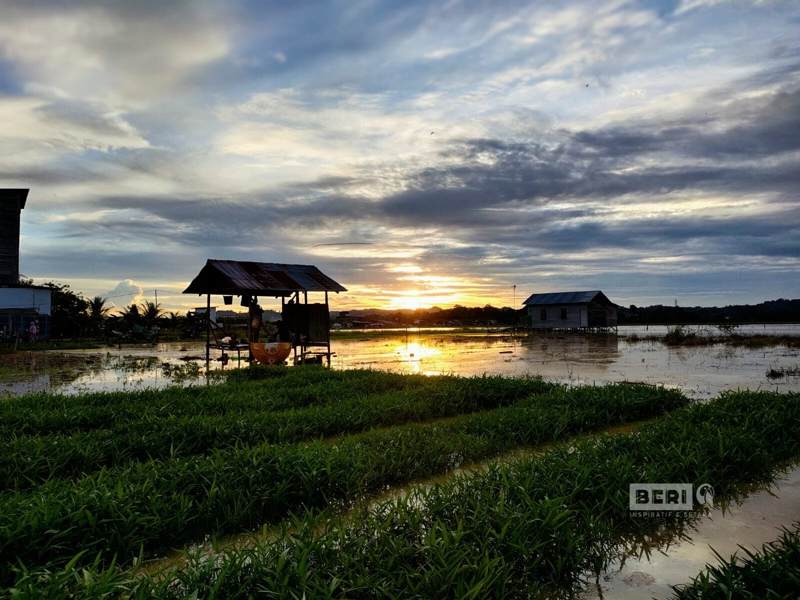 Sawah Jalan Usaha Tani Betapus Samarinda. ©Jifran/beri.id