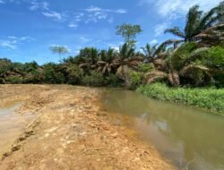 Revitalisasi Antibanjir Rp9 Miliar di Pampang, Target Desember Tapi Hingga Kini Masih 38 Persen
