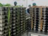 Isu Ompreng Impor China di Program MBG Diduga Kandung Minyak Babi, Dinkes Samarinda Masih Tunggu Kepastian