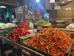 Harga Cabai Melonjak 100 Persen, Samarinda Kena Efek Domino Banjir