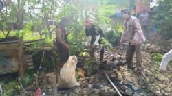 Sugiyono Rayakan Ulang Tahun Megawati Soekarnoputri Dengan Tanam Bibit Pohon Bersama Warga