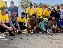 Gandeng Pengelola Pantai DEB, JMSI Balikpapan Lepas 80 Tukik Penyu Lekang Bersama Wali Kota